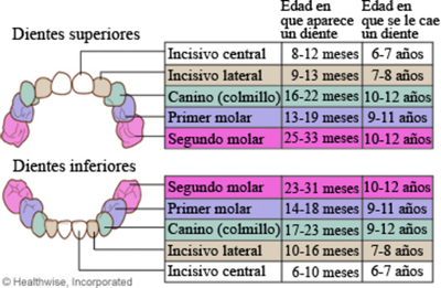 Consejo para la Salud Bucodental